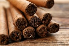 La nicotina tiene propiedades insecticidas. Foto: Shutterstock