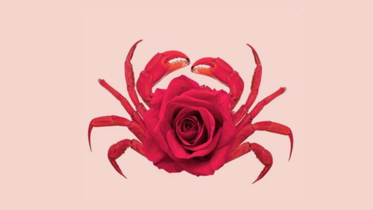 Test de personalidad Foto: Pinterest