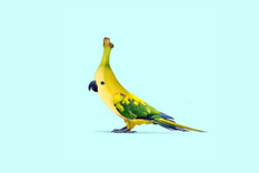 Test de personalidad