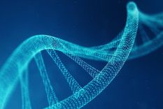 El objetivo es construir secciones de ADN humano a partir de cero.