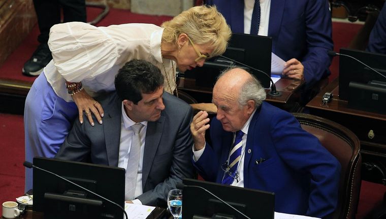 El kirchnerismo logró el apoyo de los gobernadores patagónicos para rechazar el DNU Foto: NA