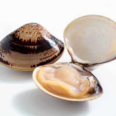 1 kg de almejas frescas