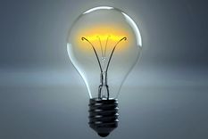 La ciencia logró resolver uno de sus misterios. Foto: PhFree.