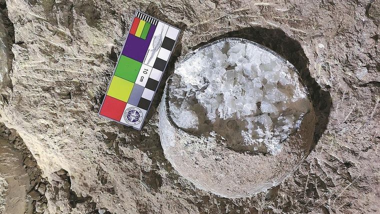 Los huevos fueron descubiertos en China Foto: ZHU JIANG FOR CHINA DAILY