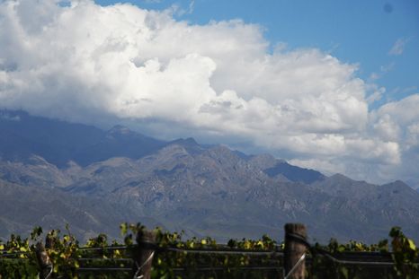 El solcito se adueña de Mendoza, pero no por mucho. El solcito se adueña de Mendoza, pero no por mucho.