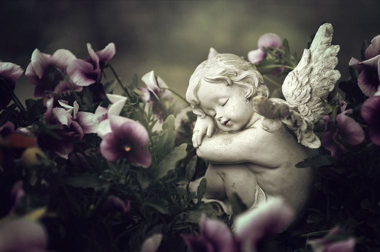 Angel de la guarda Mensaje de luz para los signos. Foto: Fuente: Shutterstock