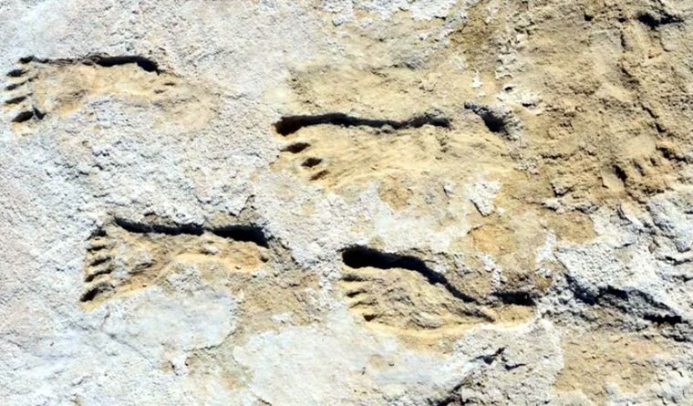 huellas humanas fósiles Las huellas humanas son mucho más viejas de lo que se creía. Foto: Efe.