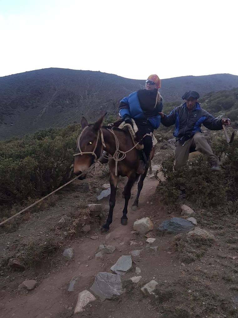 La mujer fue bajada en mula con la asistencia de un arriero, guías y otros andinistas