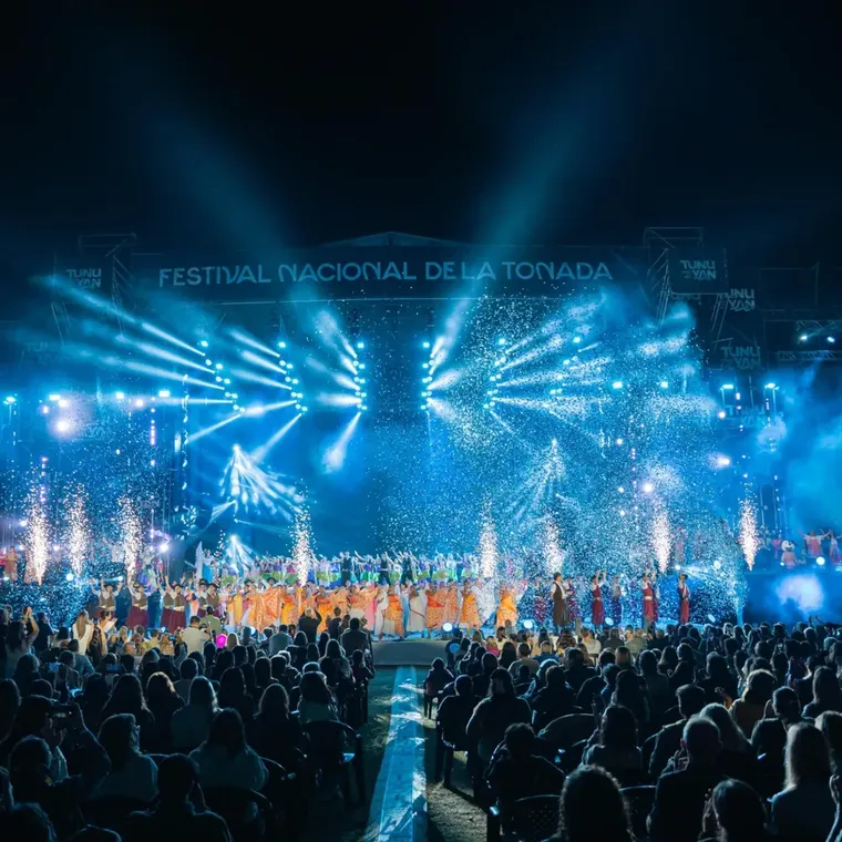 La Vendimia de Tunuyán en una noche histórica. La Vendimia de Tunuyán en una noche histórica.