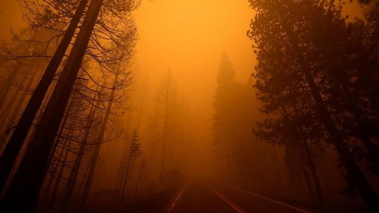 El humo y el cielo naranja sobre una ruta cerca de Greenville, California. Foto: REUTERS