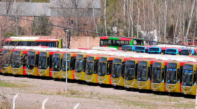 El boleto de colectivo lleva dos años congelado. Foto: ALF PONCE MERCADO / MDZ