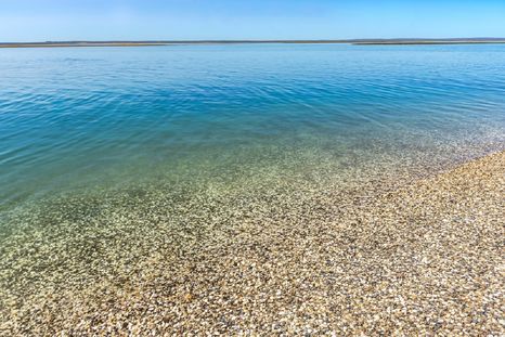 En la Costa Atlántica esta playa de conchillas enamora Foto: Shutterstock