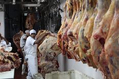 Foto: Pachy Reynoso/MDZ Foto: Pachy Reynoso/MDZ