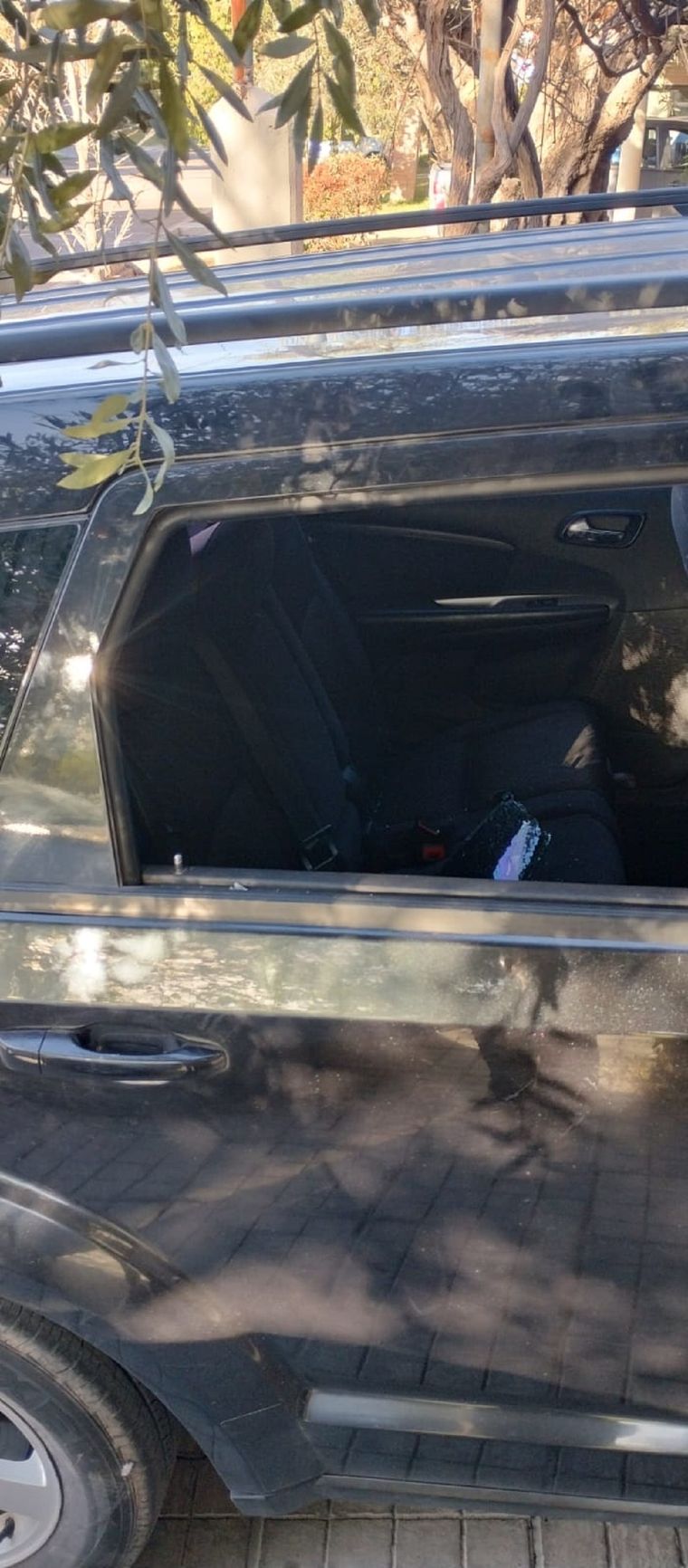 El malviviente destrozó el vidrio de una camioneta y robó Foto: Gentileza