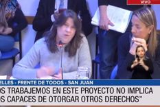 Foto: Captura de video - Diputados