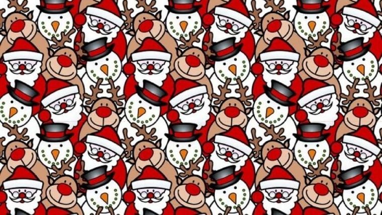 ACERTIJO VISUAL ACERTIJO VISUAL, RETO VISUAL, NARIZ Foto: ARCHIVO