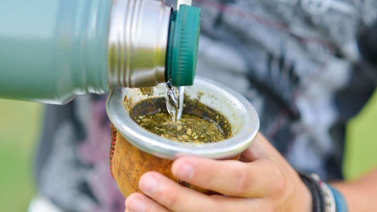 La yerba mate comenzará a ser regulada para que sea de mejor calidad