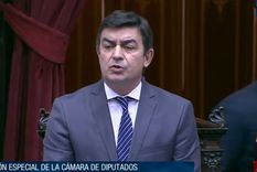 en vivo: diputados debate el proyecto de boleta unica papel