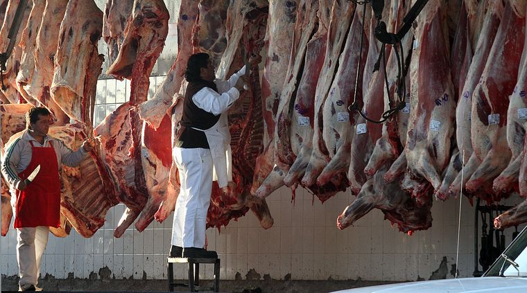 Foto: Pachy Reynoso/MDZ