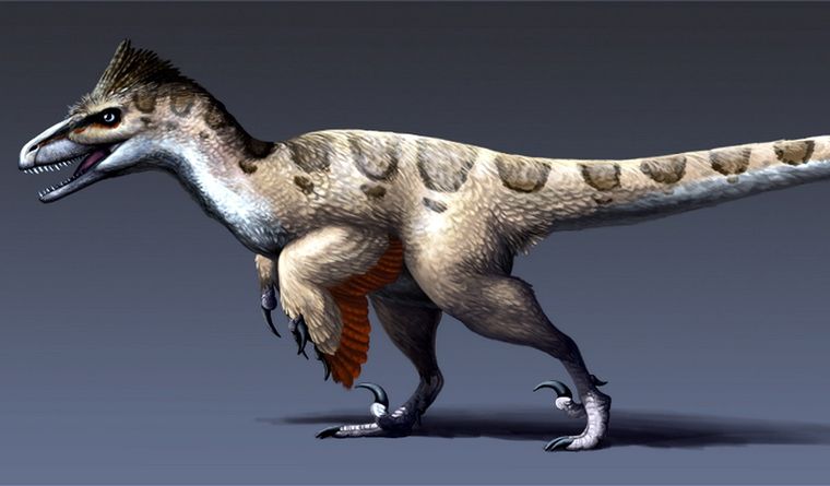 Representación de cómo lucía el deinonicosaurio. Foto: Wikipedia.