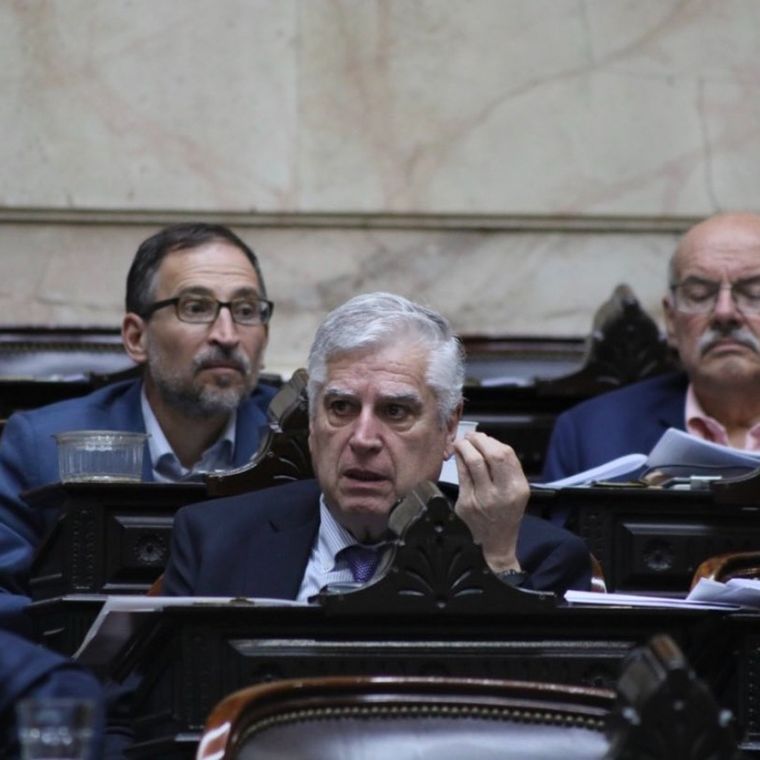 Gutierrez El diputado Gutiérrez contó que había acordado determinados puntos que no figuran en el dictamen. Crédito: X Foto: X