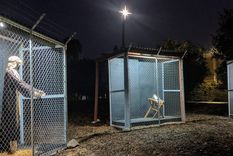 y si jesus, maria y jose fueran a eeuu por refugio, ¿que ocurriria?