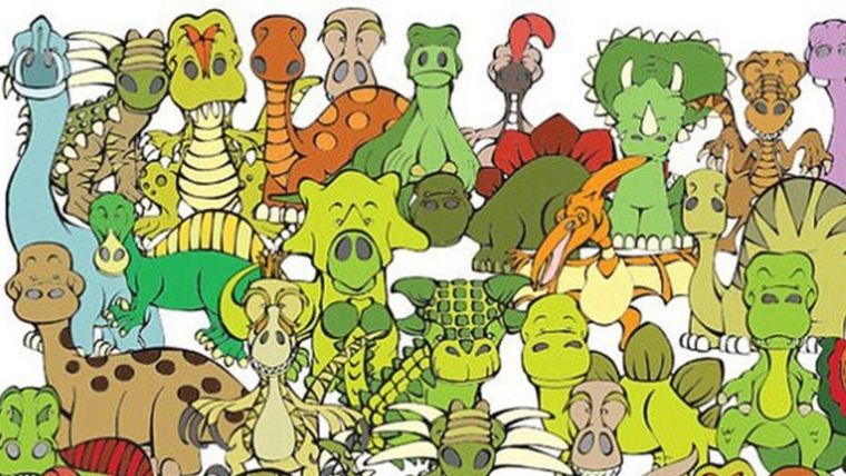 Acertijo visual, reto visual, tortuga