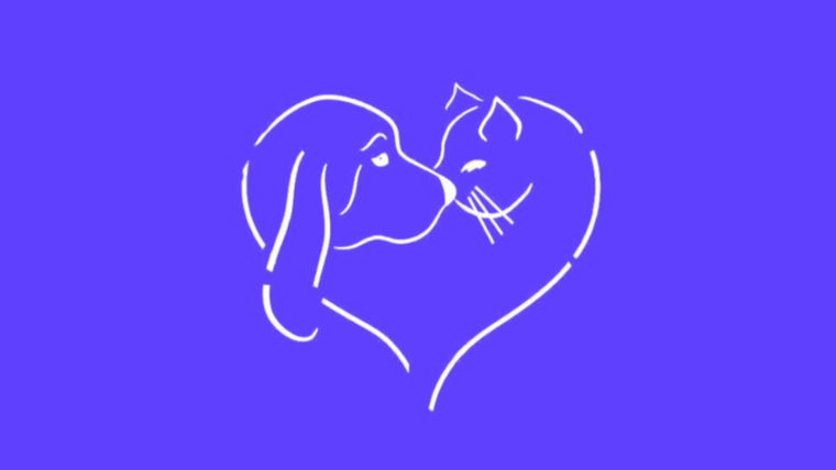 Test de personalidad