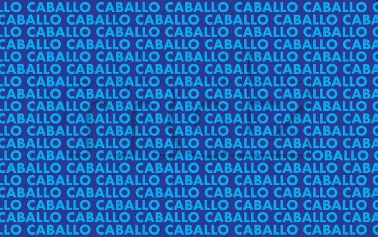 El acertijo visual de MDZ es uno de los más difíciles de resolver Foto: Archivo MDZ