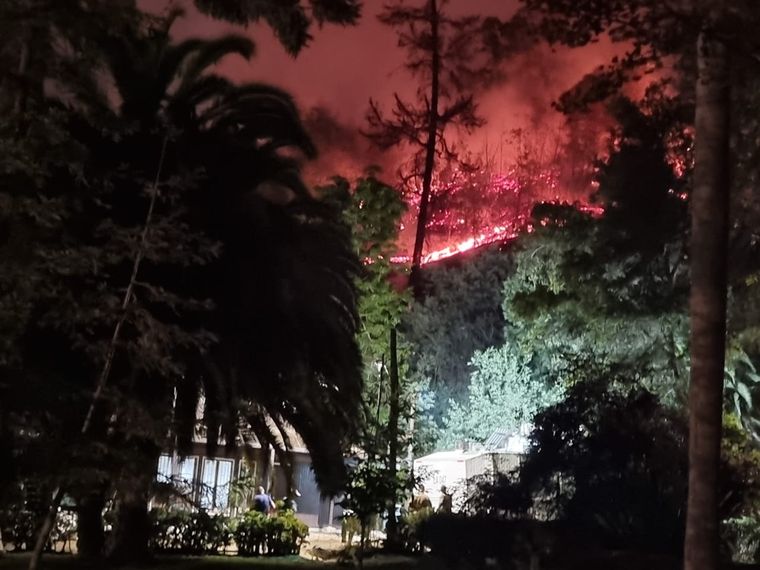 El incendio quemó más de 110 hectáreas y se cobró una víctima fatal. Foto: Gentileza Carabineros de Chile