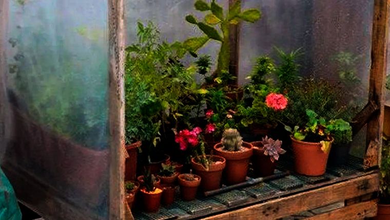 Foto: /media.puntal.com.ar