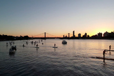 Las palometas irrumpieron en las playas de Santa Fe. Foto: GSFE