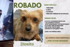 El hecho quedó registrado por las cámaras de seguridad de la zona. Foto: NA