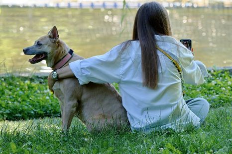 En el caso intervino la Justicia de San Juan (Imagen ilustrativa) Foto: Archivo MDZ