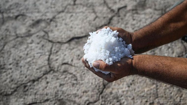 "La intrusión de agua salada es un ejemplo perfecto de una crisis climática de evolución lenta", dice el geólogo Robert Young