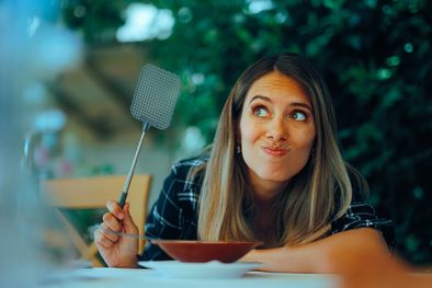 MDZol | Las moscas ya no serán un problema en el hogar con este truco casero Foto: Shutterstock