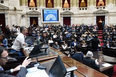 Martín Menem en la presidencia de la sesión de Diputados. Foto: Prensa Diputados