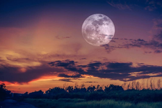 El poderoso ritual de luna llena para soltar lo que ya no te sirve Foto: Pixabay