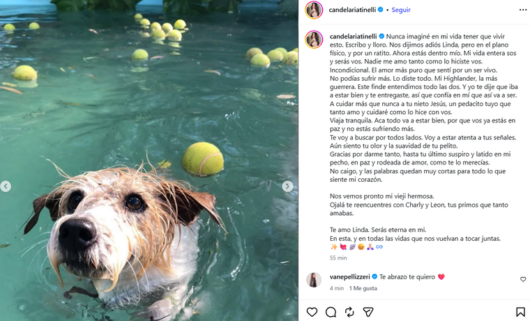 Cande Tinelli despidió a su mascota con un desgarrador escrito. Cande Tinelli despidió a su mascota con un desgarrador escrito. 