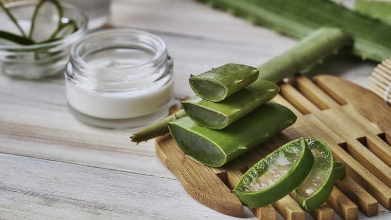 El aloe vera nos ayudará conseguir una piel más tersa, brillante y sin arrugas. Foto: Semana