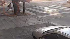 Aún el autor del crimen no fue identificado y la investigación evalúa las posible motivaciones del asesinato. Aún el autor del crimen no fue identificado y la investigación evalúa las posible motivaciones del asesinato.