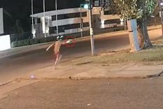 El sujeto que disparó contra el canal de televisión rosarino