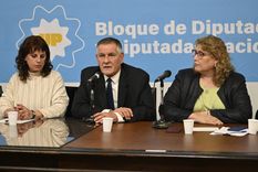 El kirchnerismo presentó su denuncia en una conferencia de prensa. Foto: Prensa UP