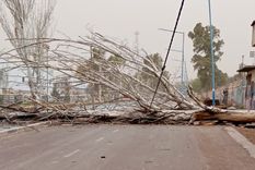 El pronóstico anticipa ráfagas que pueden superar los 100 km/h en el oeste y sur del país. &nbsp;