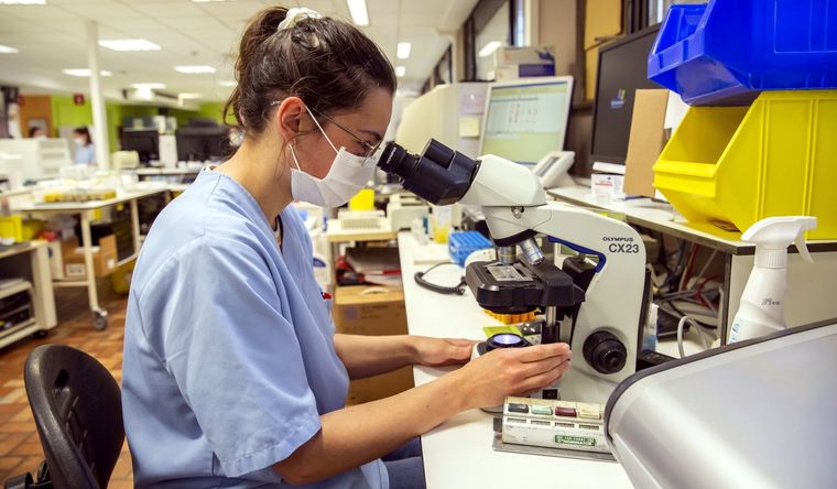 La ciencia ha determinado la mutación genética que causa la psoriasis. Foto: Efe.