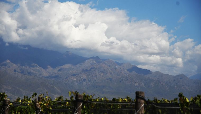 Foto: Rodrigo DAngelo / MDZ