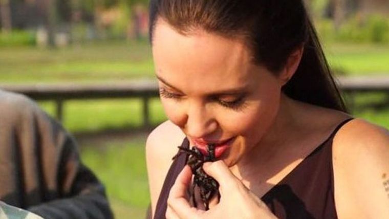 Angelina Jolie, dieta, bichos