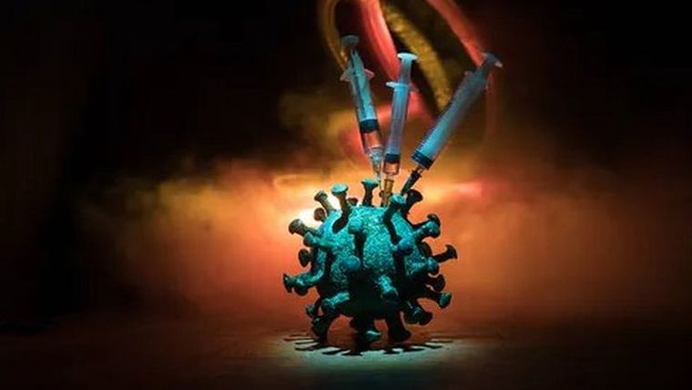 Las vacunas atacan directamente al coronavirus. Foto: SHUTTERSTOCK