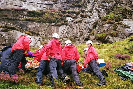 Oveja caída del cielo manda al hospital a un adolescente