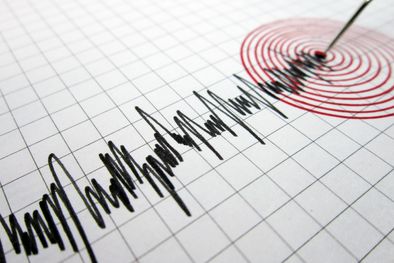 MDZol | Foto: Shutterstock